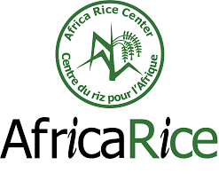 Africa Rice Center (AfricaRice) Recruitment
