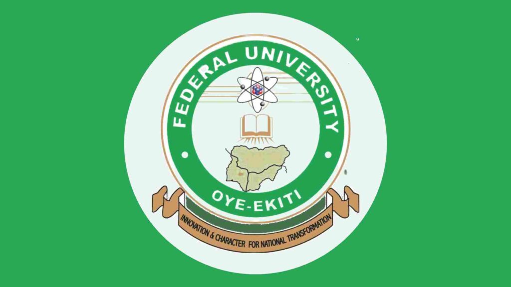courses offered in FUOYE