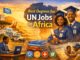Best degrees for UN jobs in Africa