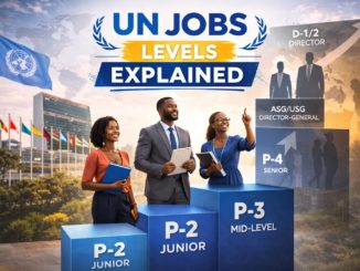 UN Job Levels Explained Visually