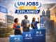 UN Job Levels Explained Visually
